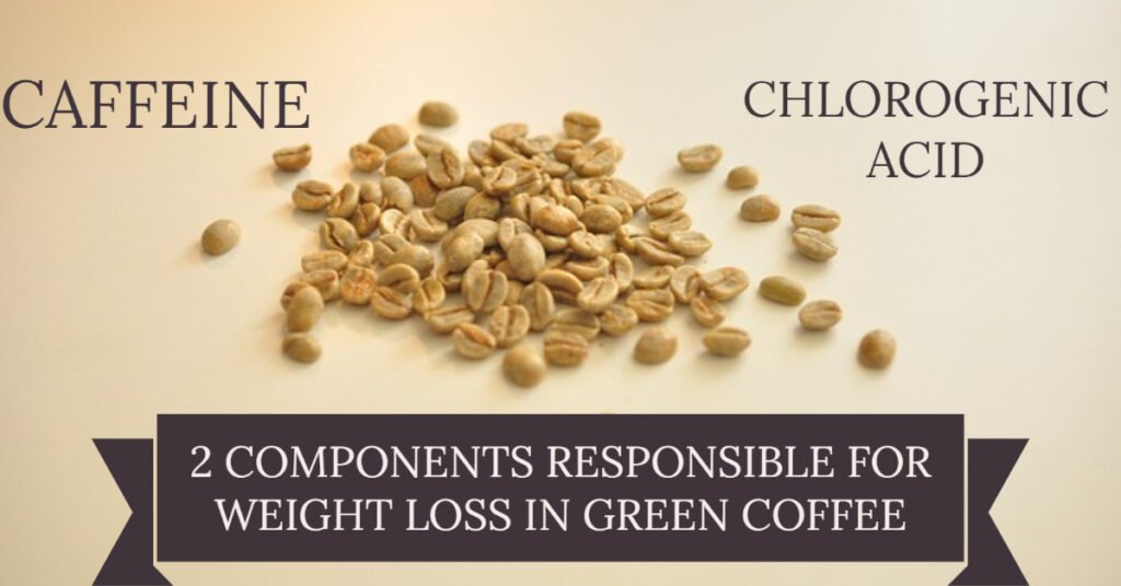 How green coffee helps in weight loss