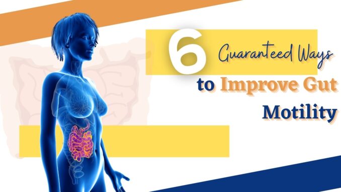 improve gut motility improve gut motility