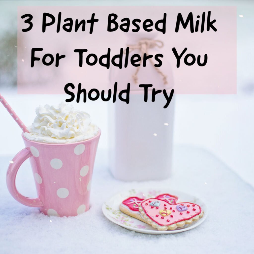 Plant based milk for toddlers