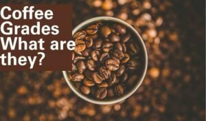 Coffee Grades