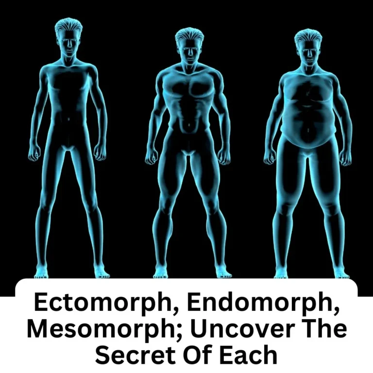 Ectomorph, Endomorph, Mesomorph