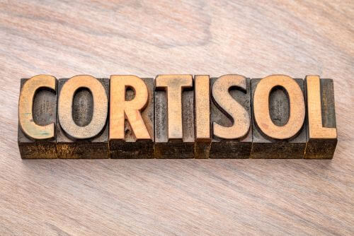 Low Cortisol Diet