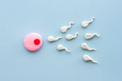 Hormone Balancing Diet for Fertility (2)